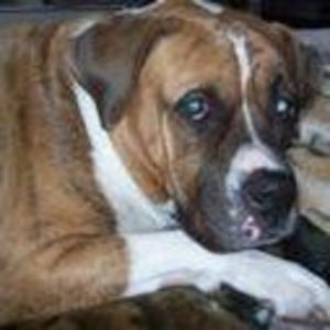 Meet your Posher, Bonnie